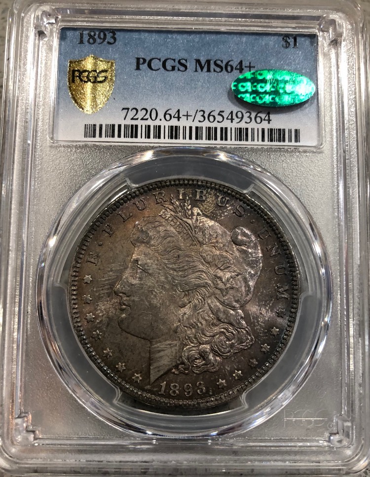 PCGS-Morgan-Dollar-Basic-Set